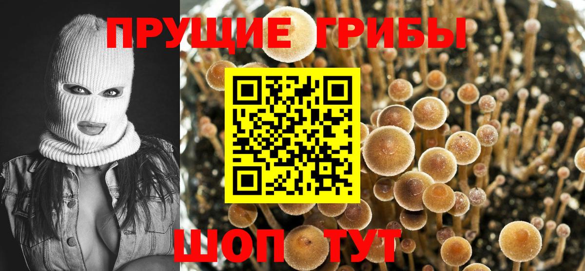 Галлюциногенные грибы мухоморы Дальнегорск
